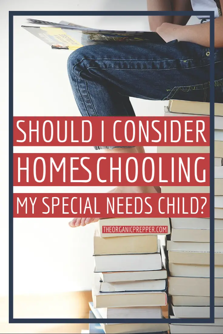 What You Should Know About Homeschooling a Special Needs Child