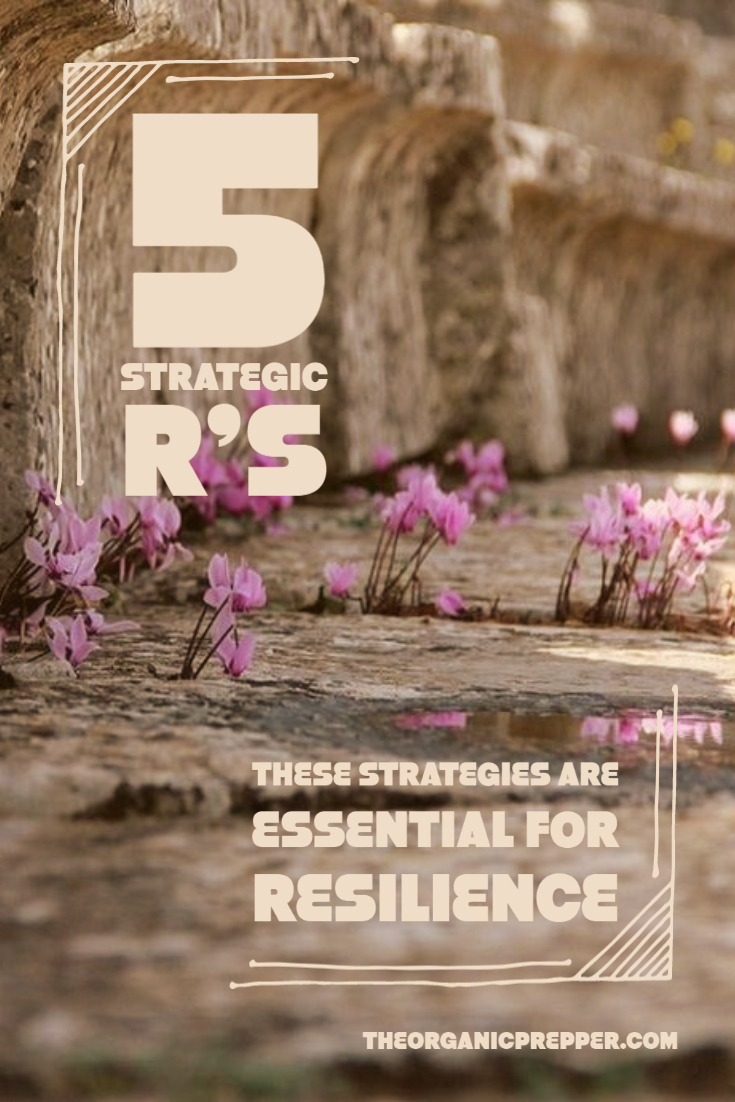 The 5 R\'s: These Strategies Are Essential for Resilience