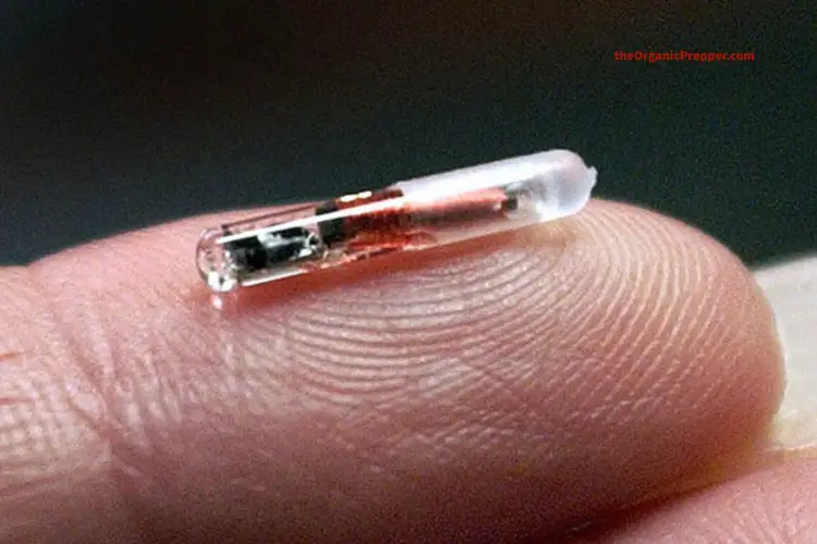 DARPA Biochip to "Save" Us from COVID Can Control Human DNA