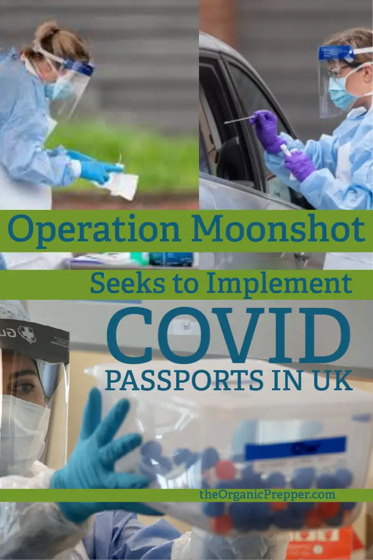 Operation Moonshot: UK Says Weekly COVID Tests Could Offer \