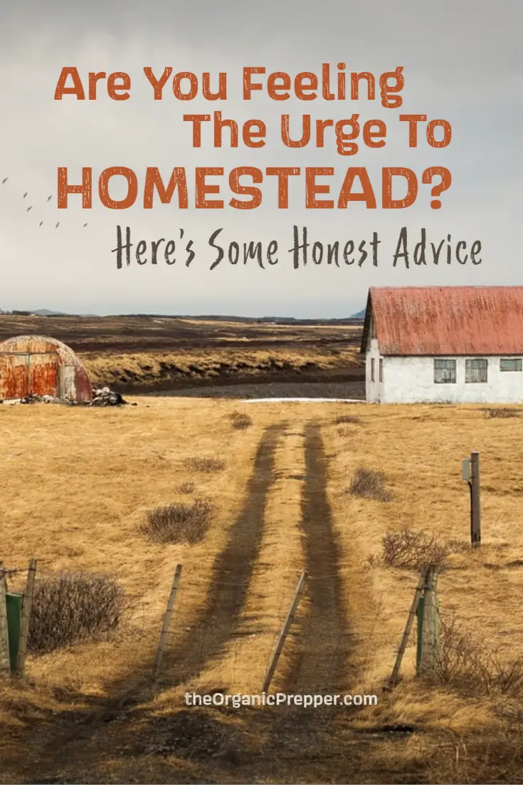 Are You Feeling the Urge to Homestead? Here\'s Some Honest Advice