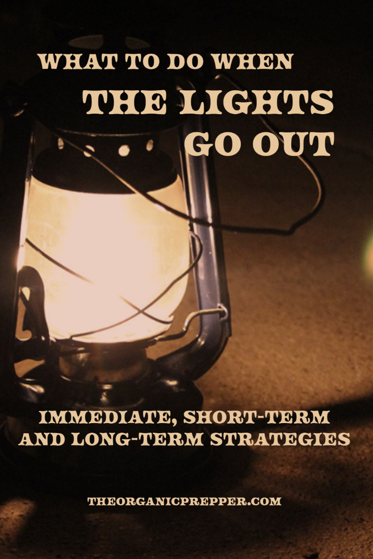 What to Do When The Lights Go Out: Immediate, Short-Term, and Long-Term Strategies