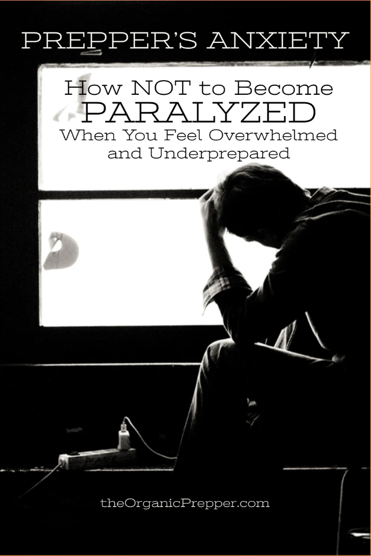 Prepper\'s Anxiety: How NOT to Become Paralyzed When You Feel Overwhelmed and Underprepared