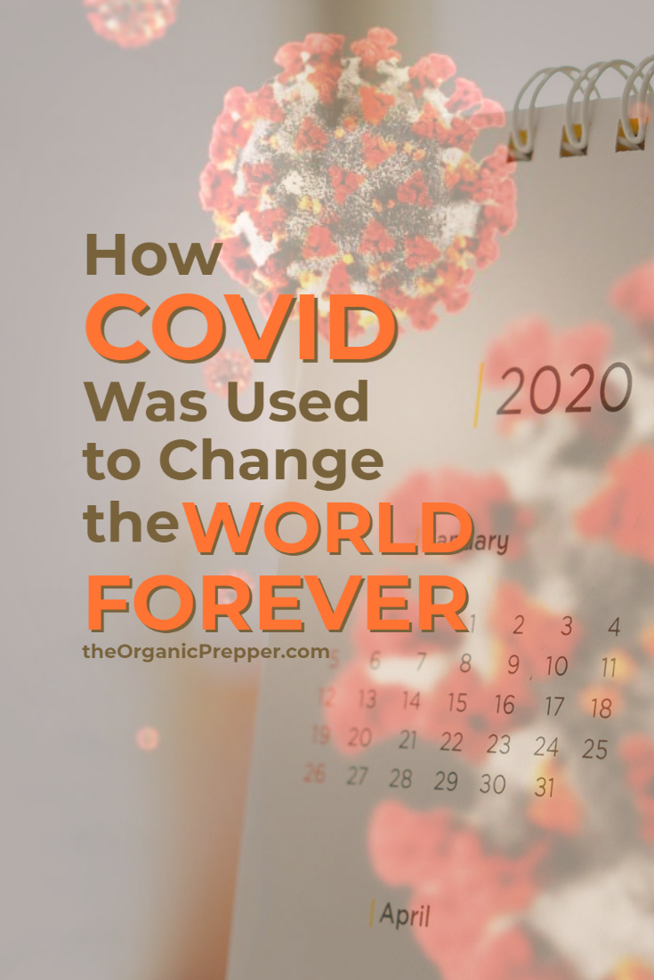 2020: How Covid Was Used to Change the World Forever