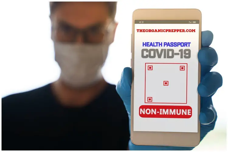 Vaccine Passports: Is Showing Your "Papers" the "New Normal?"