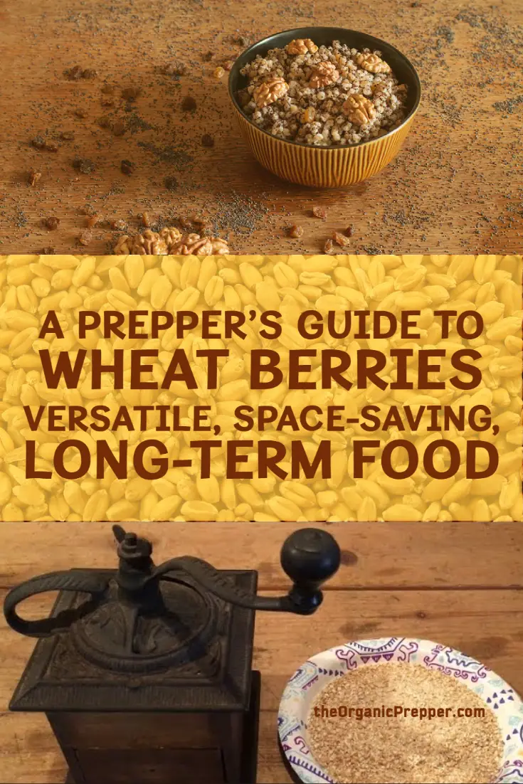 A Prepper\'s Guide to Wheat Berries: Versatile, Space-Saving, Long-Term Food