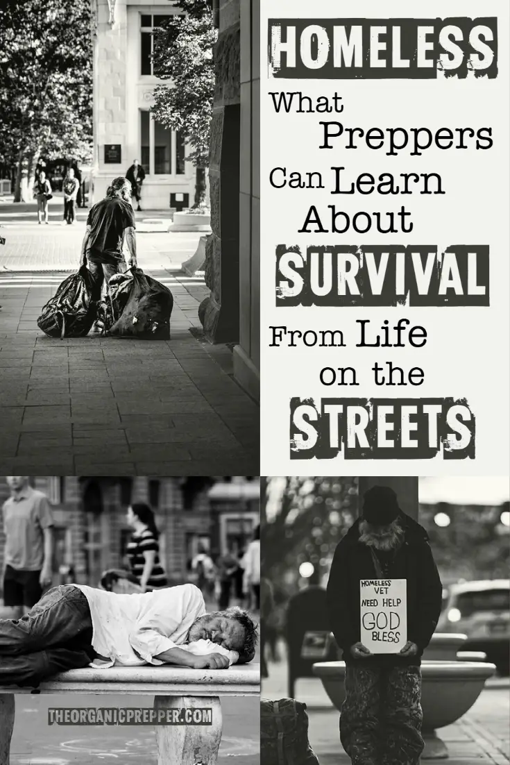 HOMELESS: What We Can Learn About Survival from Life on the Streets