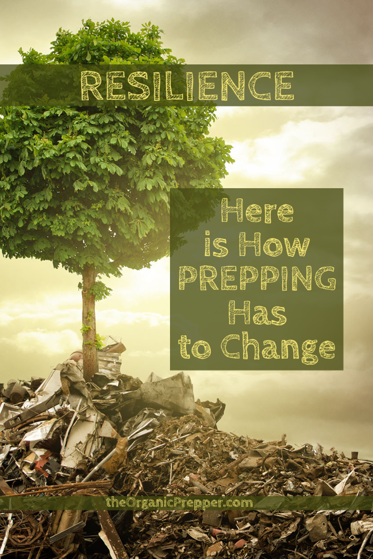 RESILIENCE: Here\'s How Prepping HAS to Change