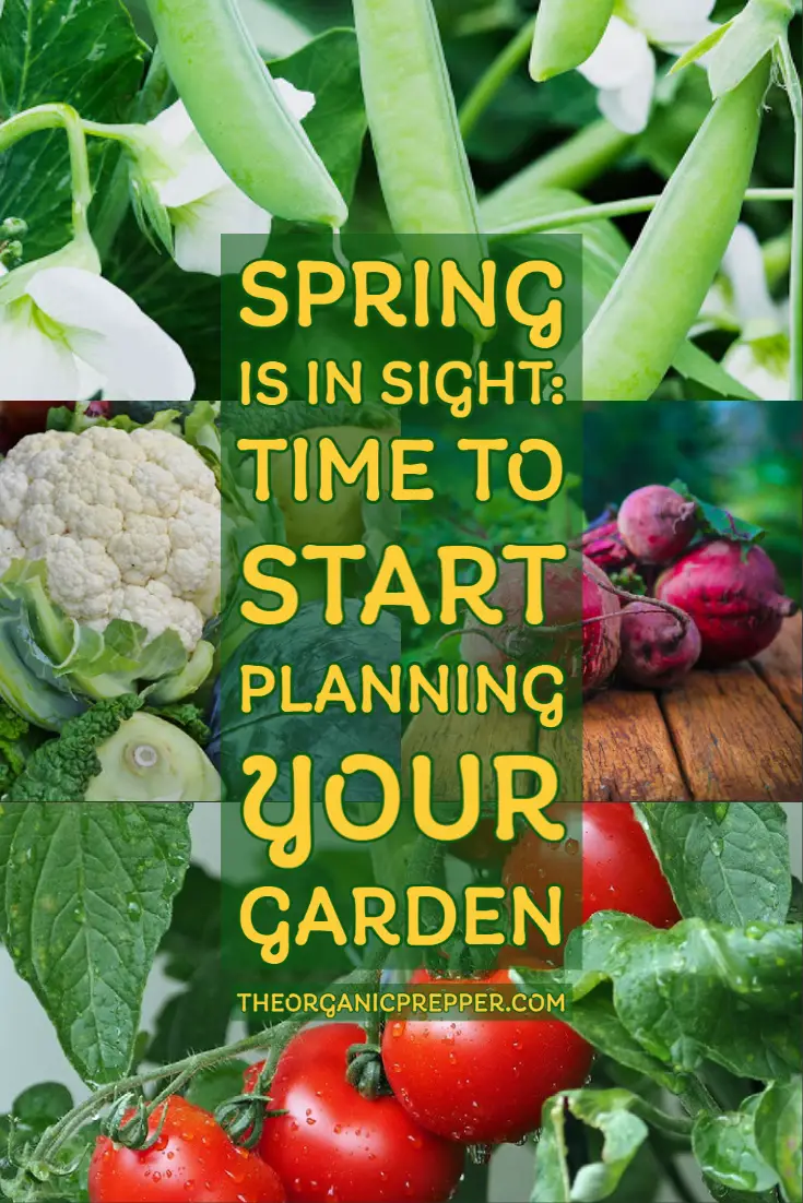 Growing Vegetables Is Back in Style: Here\'s How to Start Planning Your Garden