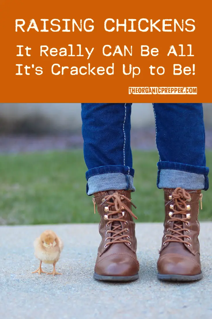 Raising Chickens: It Really CAN Be All It's Cracked Up to Be