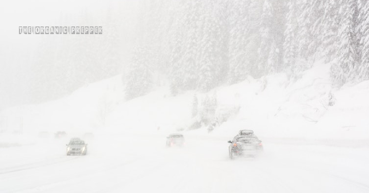 Prepping for a Blizzard: A Practical Survival Guide