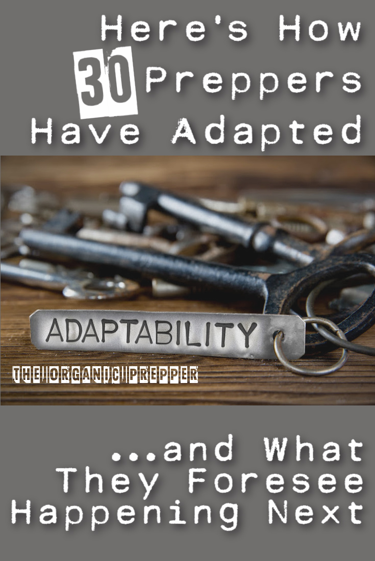 Here\'s How 30 Preppers Have Adapted and What They Foresee Happening Next
