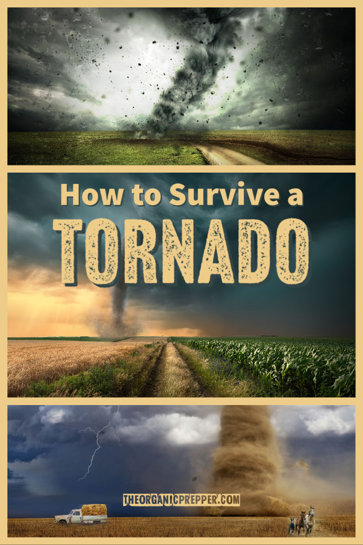 How to Survive a Tornado