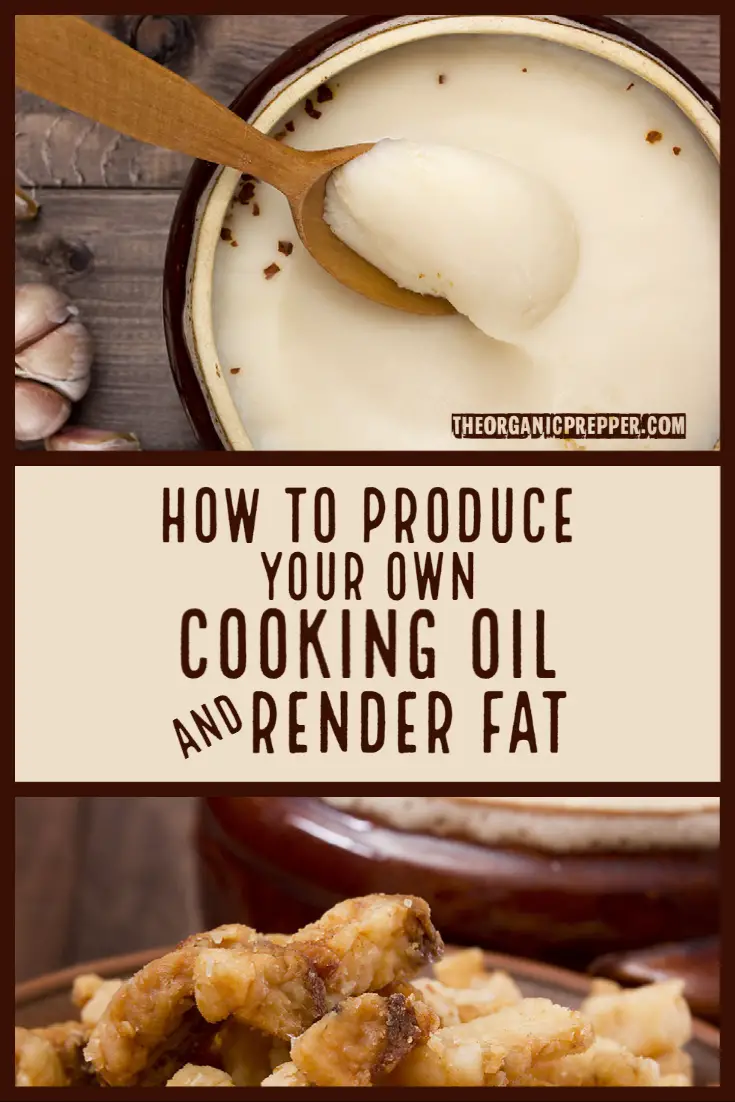 Cooking Oil Prices Are About to SKYROCKET: How to Produce YOUR OWN Cooking Oil and Render Fat