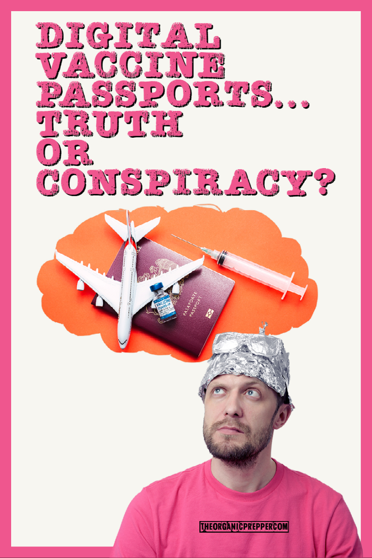 Still Believe Digital Vaccine Passports Are Something Made Up By Conspiracy Theorists?