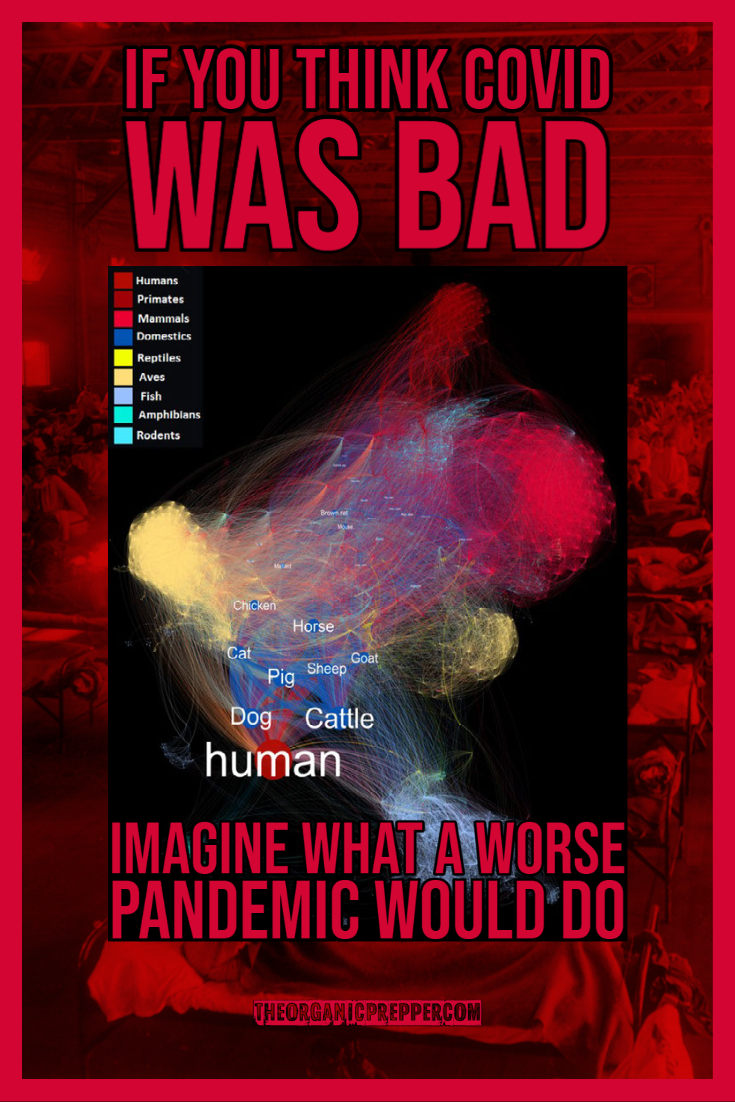 If You Think Covid Decimated Society, Imagine What a WORSE Pandemic Would Do (VIDEO)