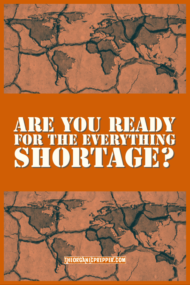 Are You Ready for the EVERYTHING Shortage?