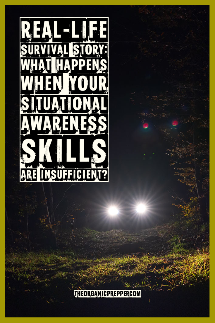 Real-Life Survival Story: What Happens When Your Situational Awareness Skills Are Insufficient?