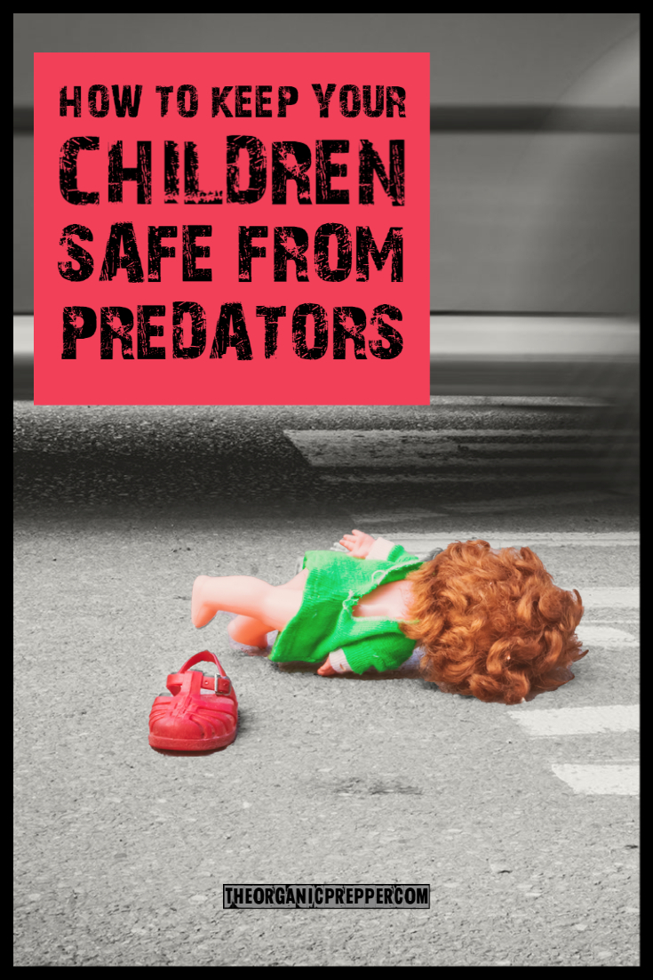 How to Keep Your Children Safe from Predators