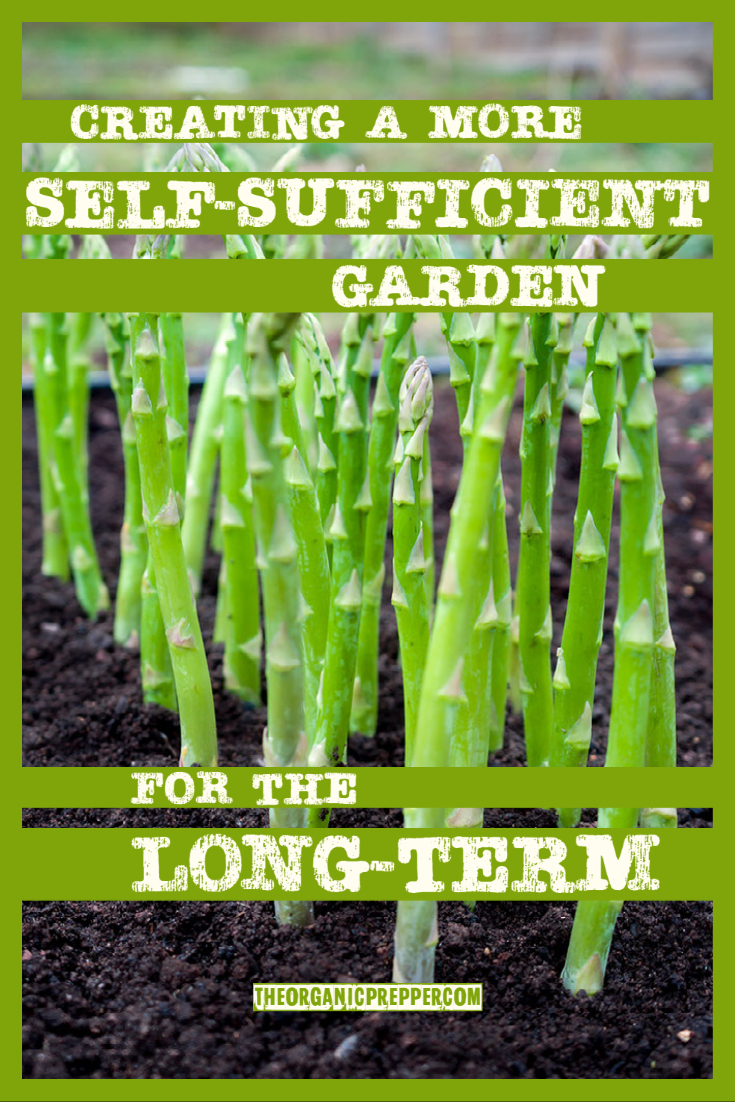 Creating a More Self-Sufficient Garden for the Long-Term