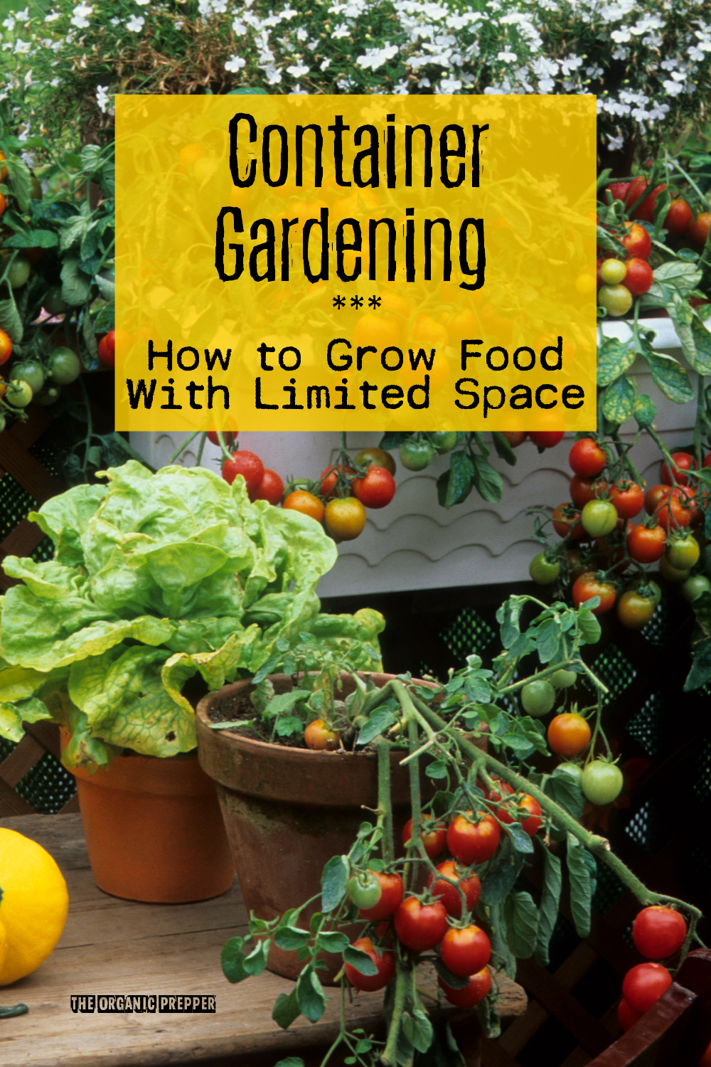 Container Gardening: How to Grow Food With Limited Space