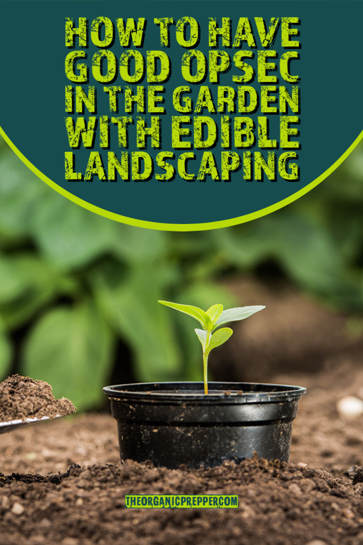 How to Have Good OPSEC in the Garden With Edible Landscaping