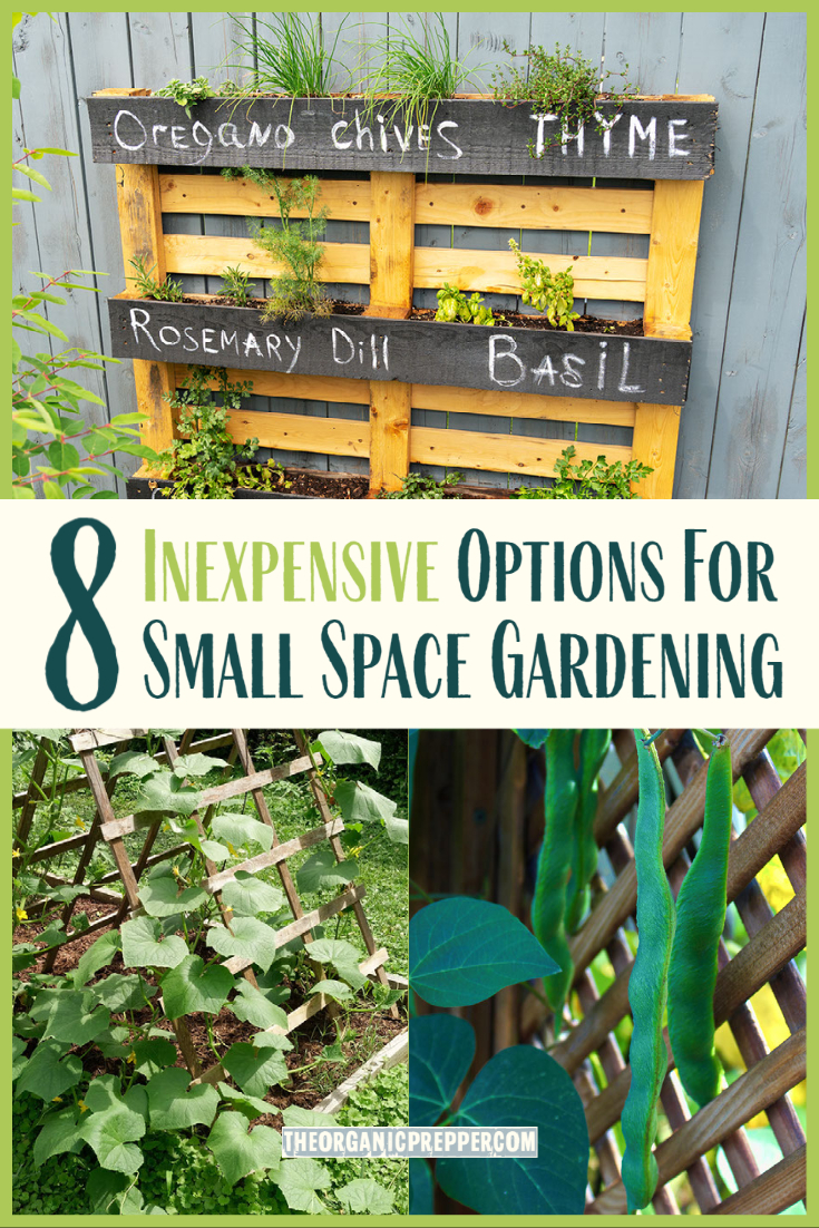 8 Inexpensive Options for Small Space Gardening