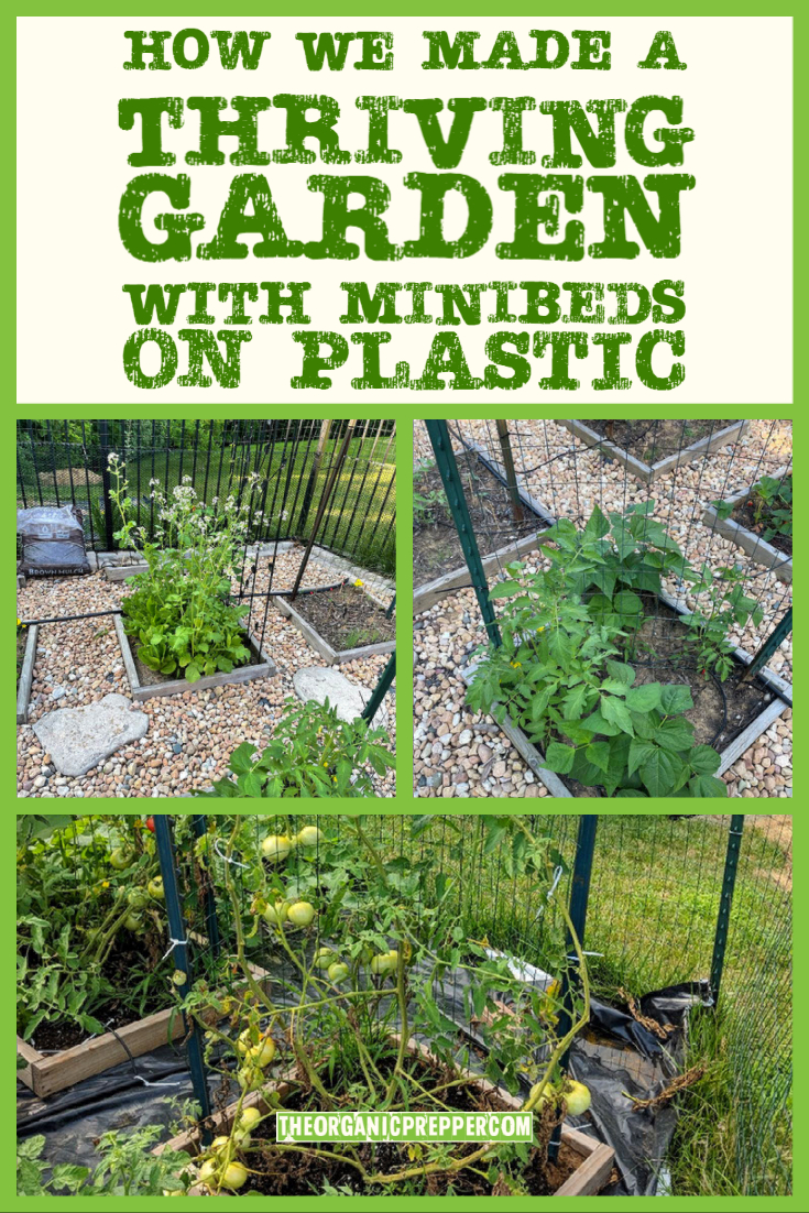 How We Made a Thriving Garden with Minibeds on Plastic