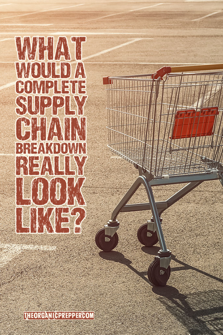 What Would a COMPLETE Supply Chain Breakdown Really Look Like?