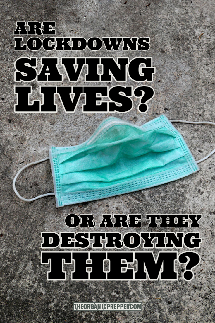 Are Lockdowns Saving Lives? Or Are They Destroying Them?