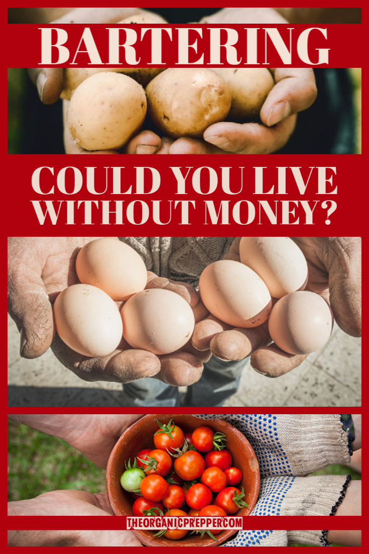 Bartering: Could You Live Without Money?