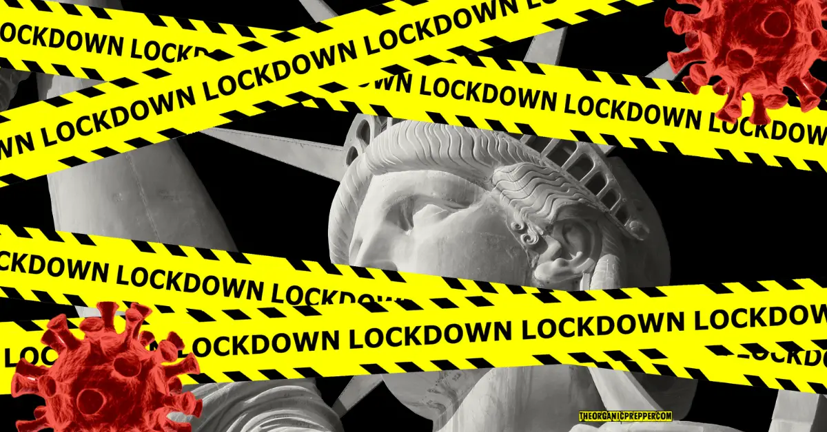 Is Another Lockdown Coming? Here's How to Get Prepared NOW