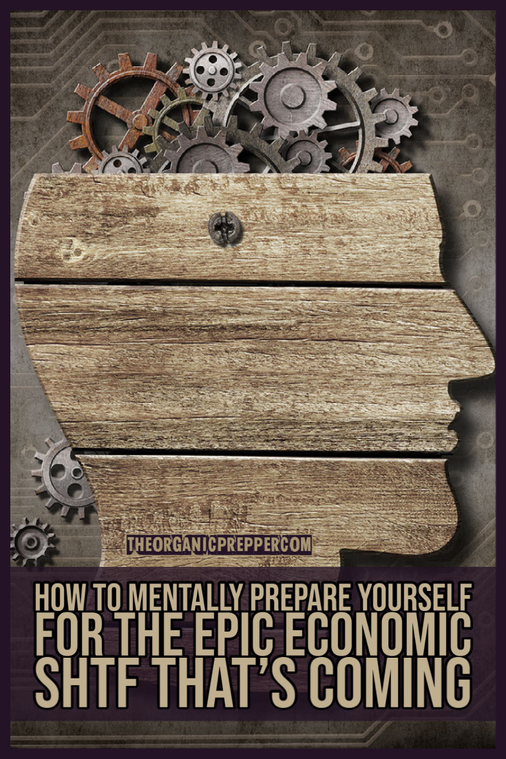 How to Mentally Prepare Yourself for the EPIC Economic SHTF That's Coming