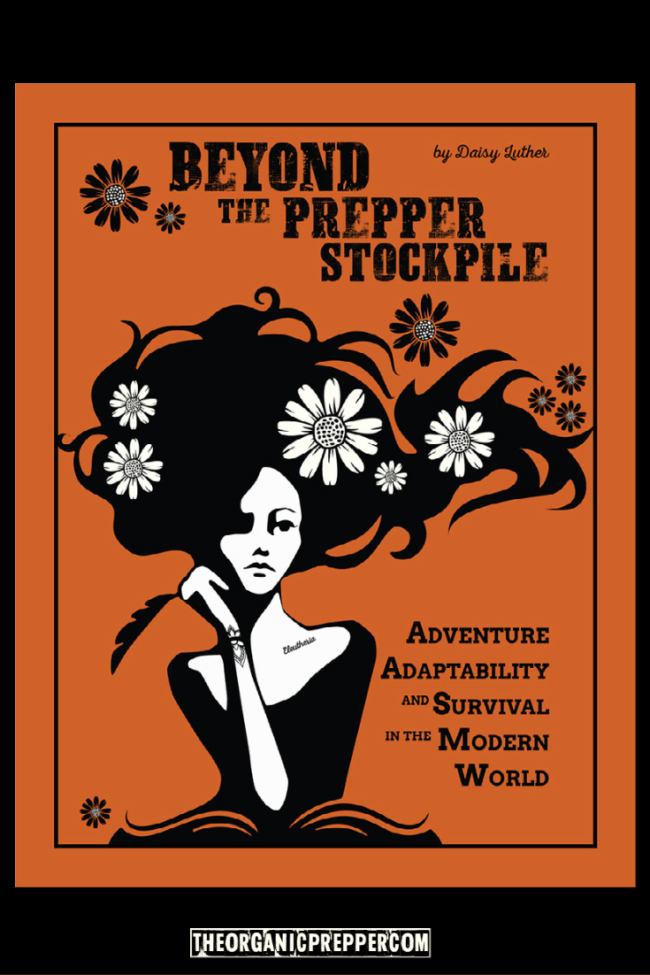 Beyond the Prepper Stockpile: Adventure, Adaptability, and Survival in the Modern World