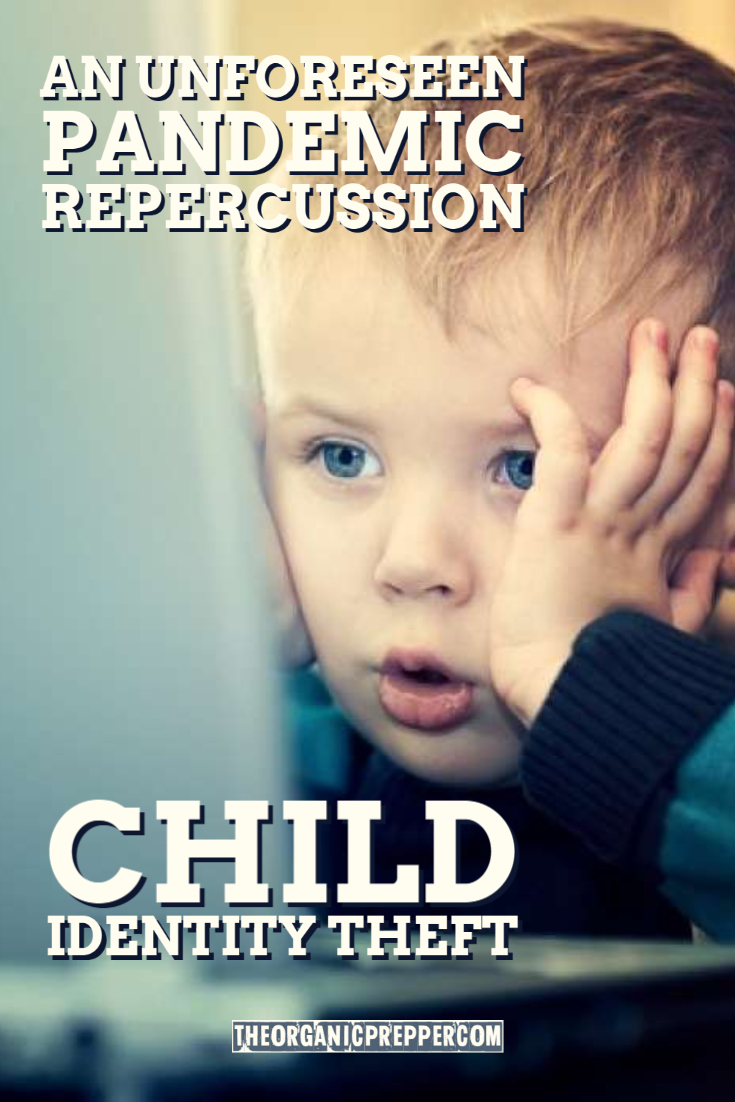 An Unforeseen Pandemic Repercussion: CHILD Identity Theft
