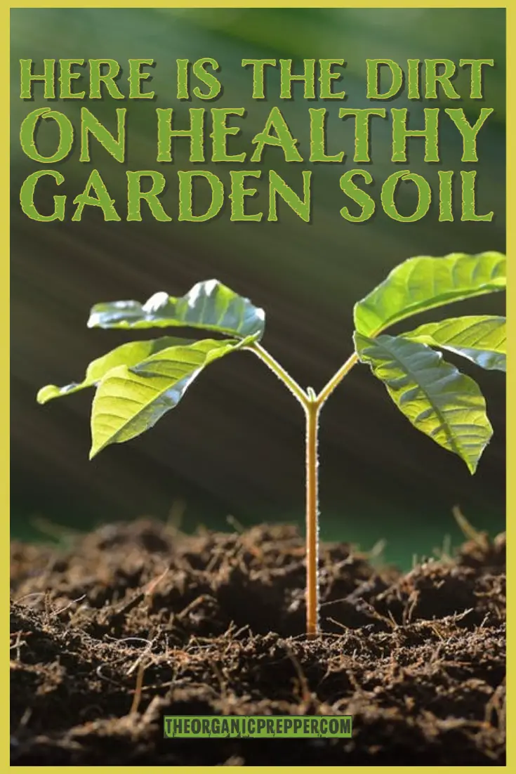 Here\'s the Dirt on Healthy Garden Soil