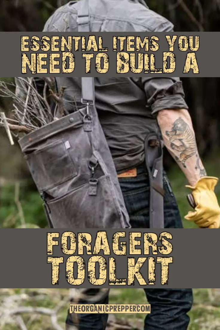 Here\'s What You Need to Build a Forager\'s Toolkit