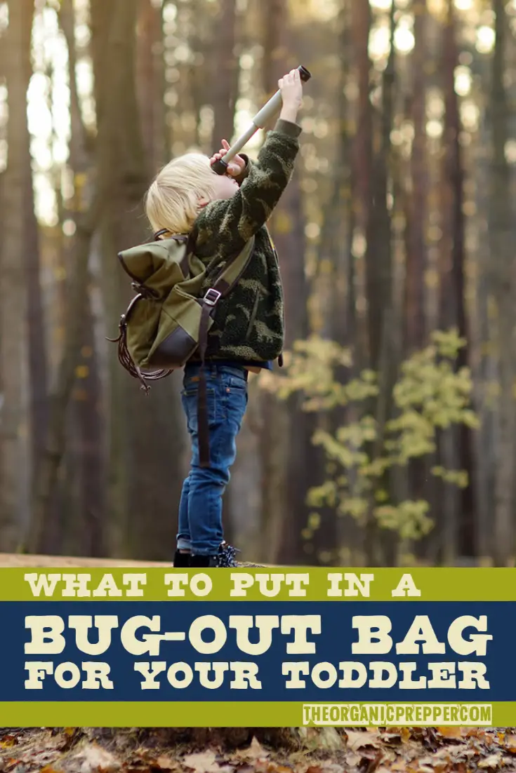 What to Put in a Bug-Out Bag for Toddlers