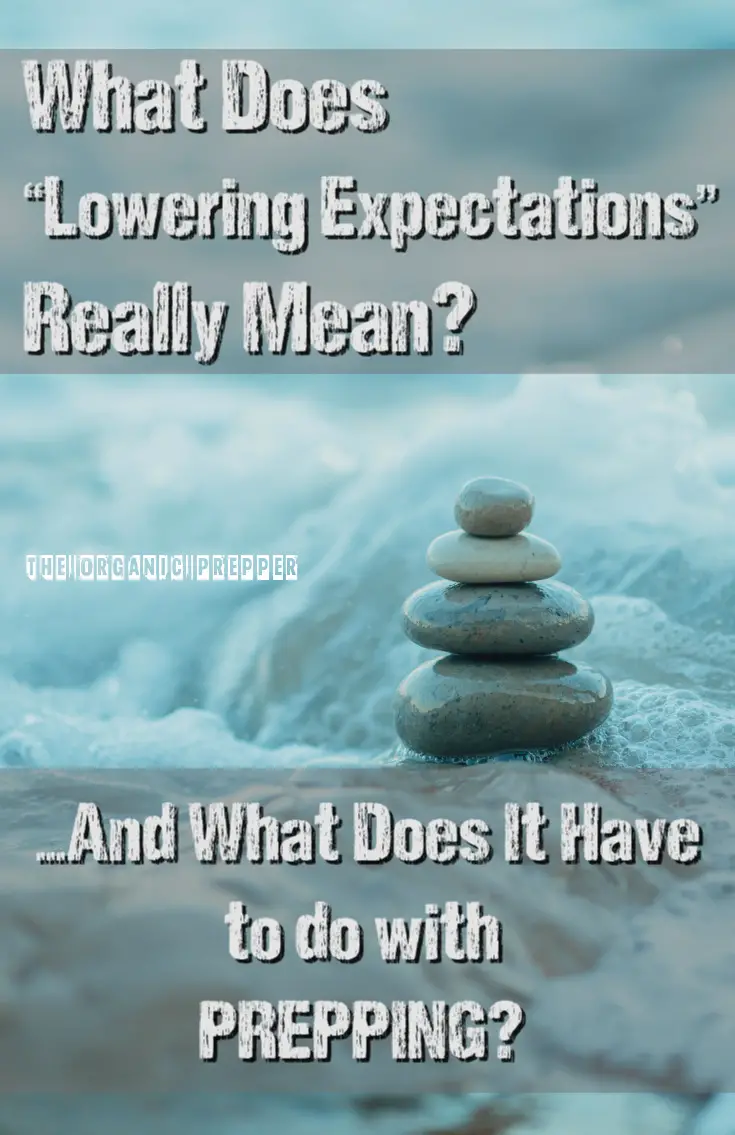 What Does “Lowering Expectations” Really Mean, and What Does It Have to do with Prepping?