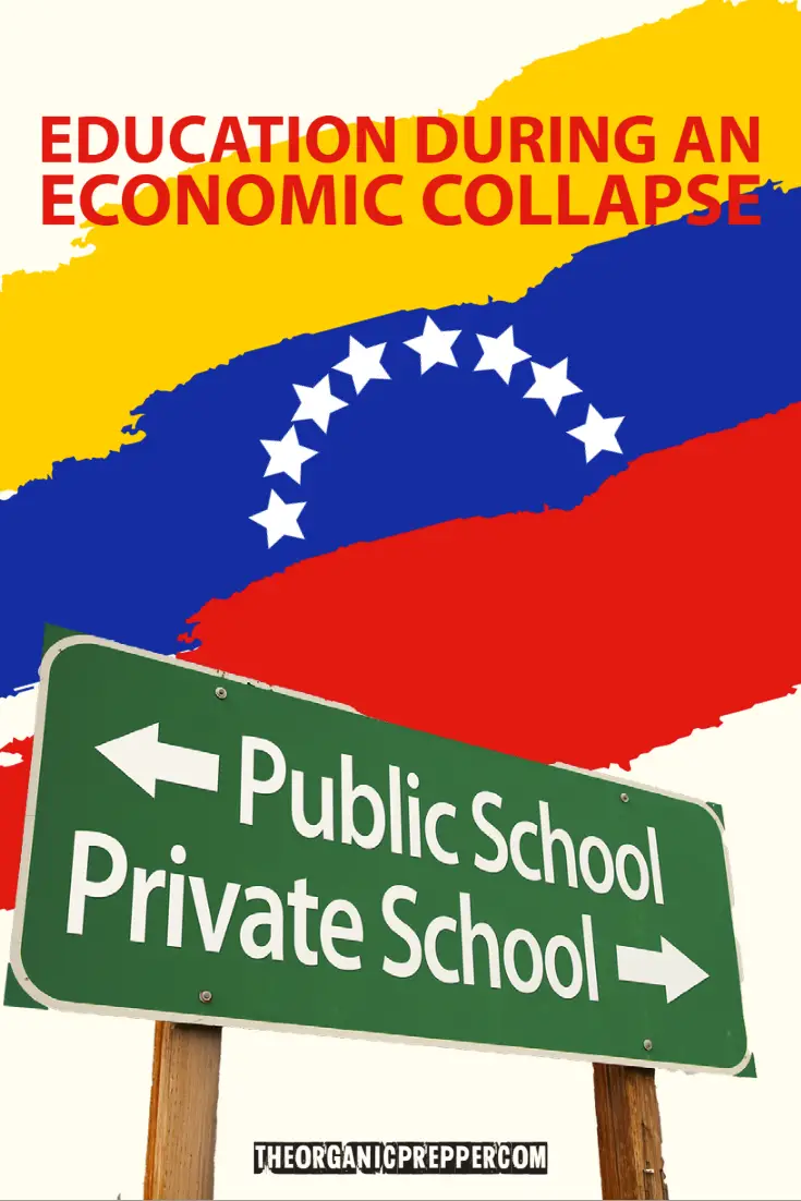 Education During an Economic Collapse