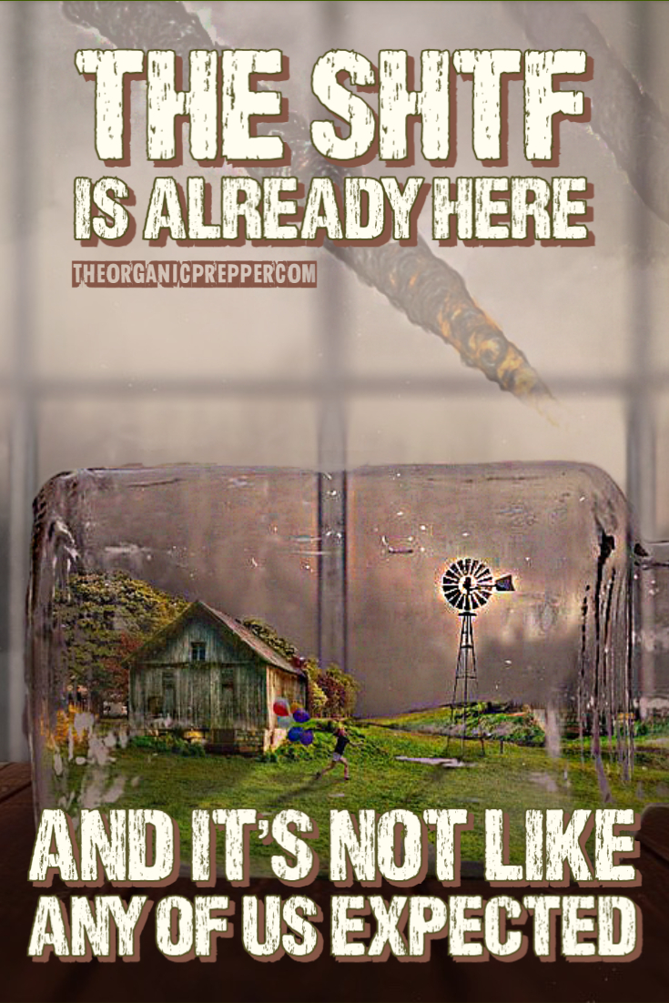 The SHTF Is Already Here and It\'s Not Like Any of Us Expected