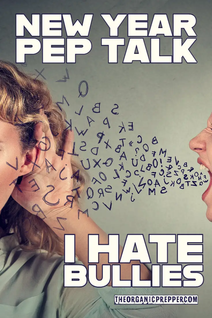 New Year Pep Talk: I Hate Bullies