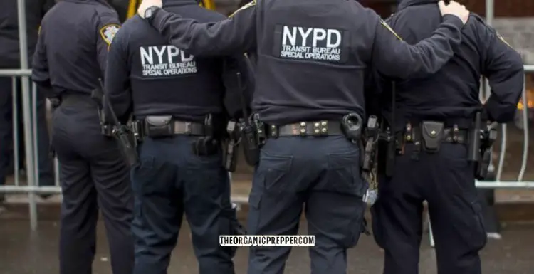 NYC Arresting Those Without 'Papers' - and It Won't Stop There