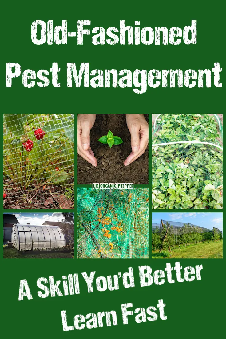 Old-Fashioned Pest Management: A Skill You\'d Better Learn Fast