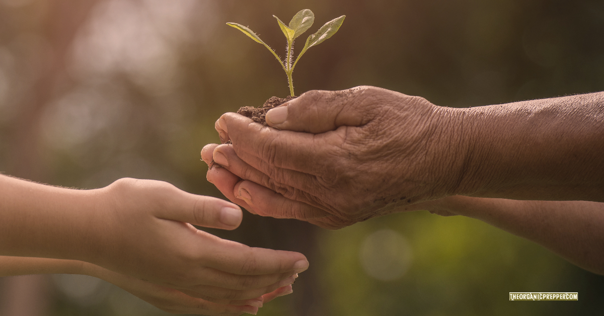 Survival Skills vs. Subsistence Skills