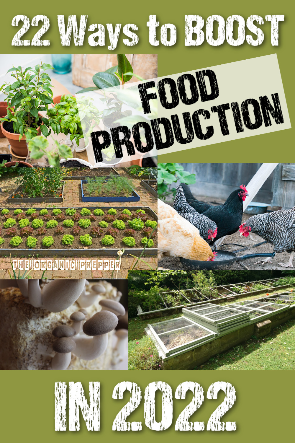 22 Ways to Boost Food Production in 2022