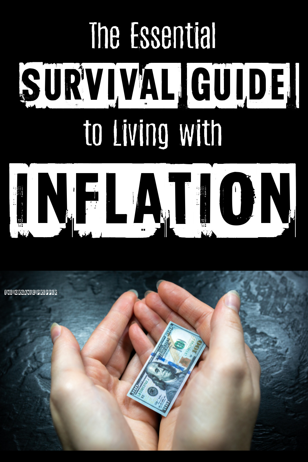 The Essential Survival Guide to Living with Inflation