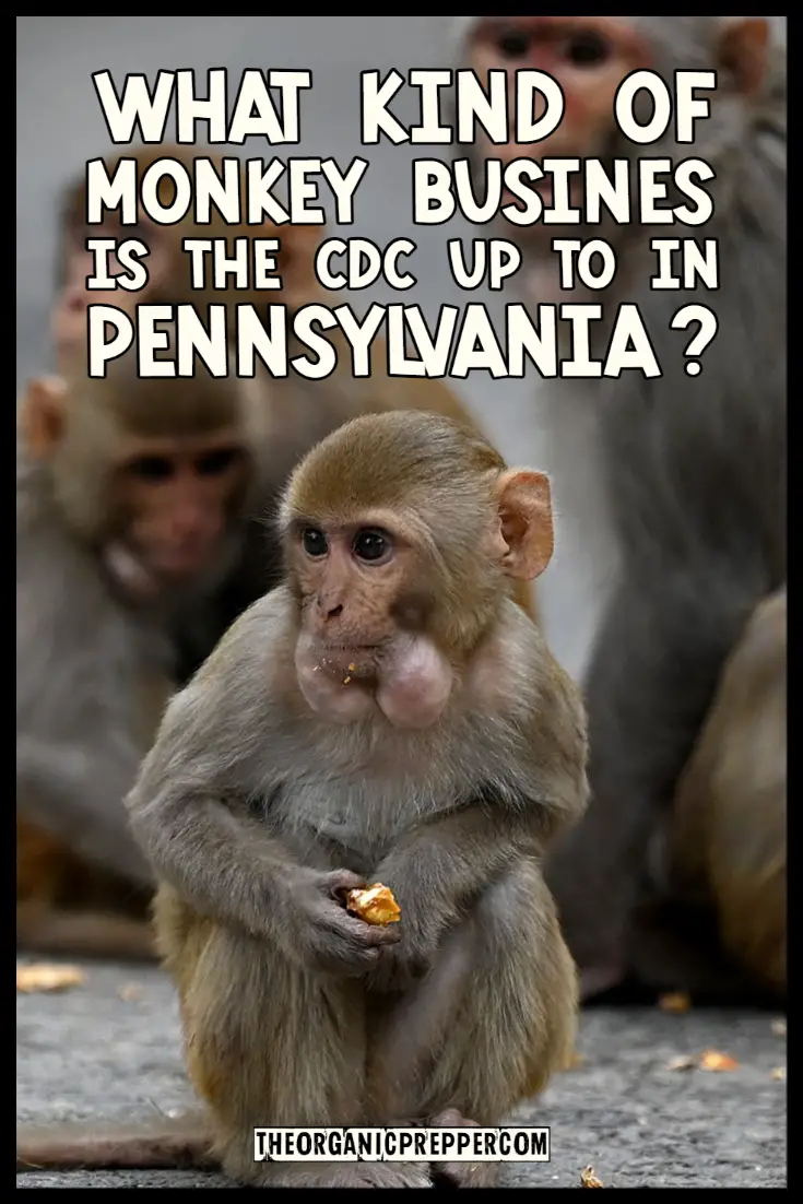 What Kind of Monkey Business is the CDC Up to in Pennsylvania?