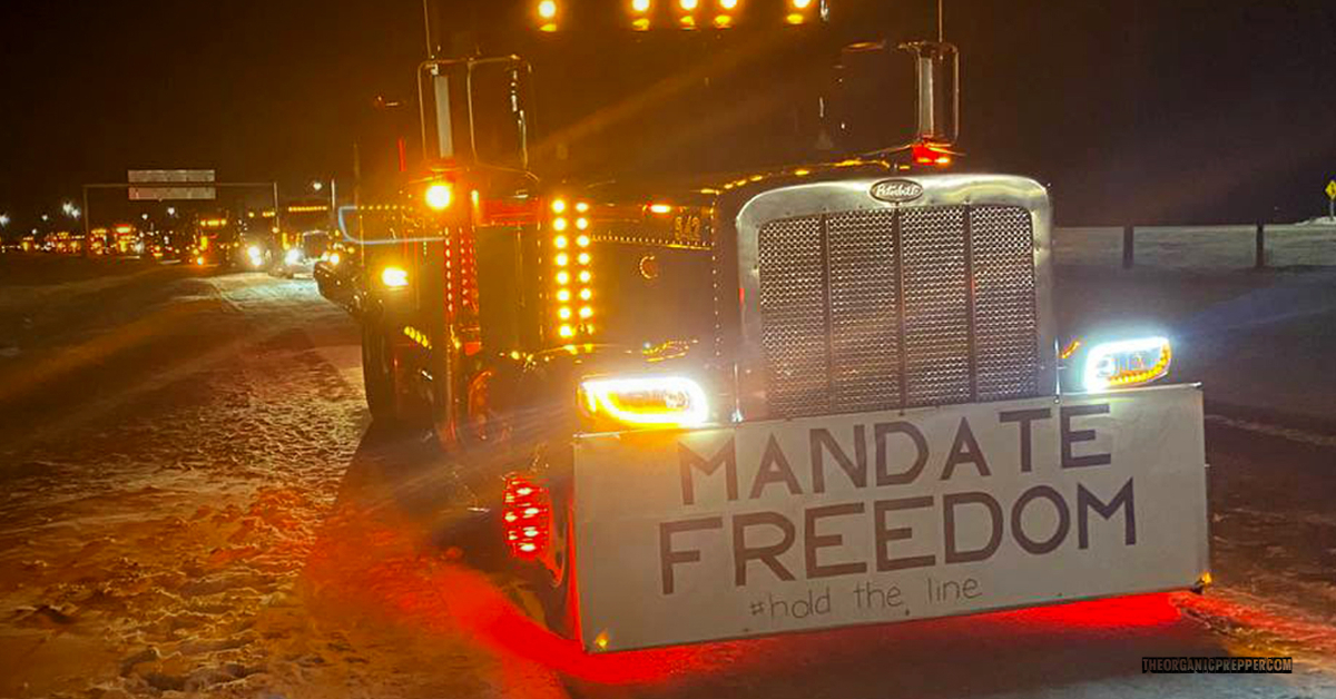 The Canadian Freedom Convoy: Blacked Out, Defunded, and Still Growing