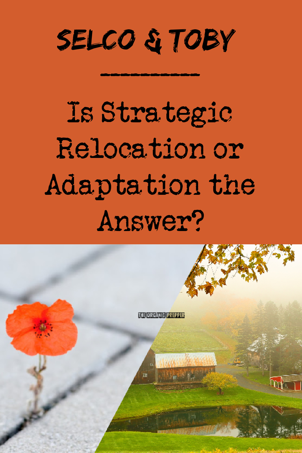 Selco & Toby: Is Strategic Relocation or Adaptation the Answer?